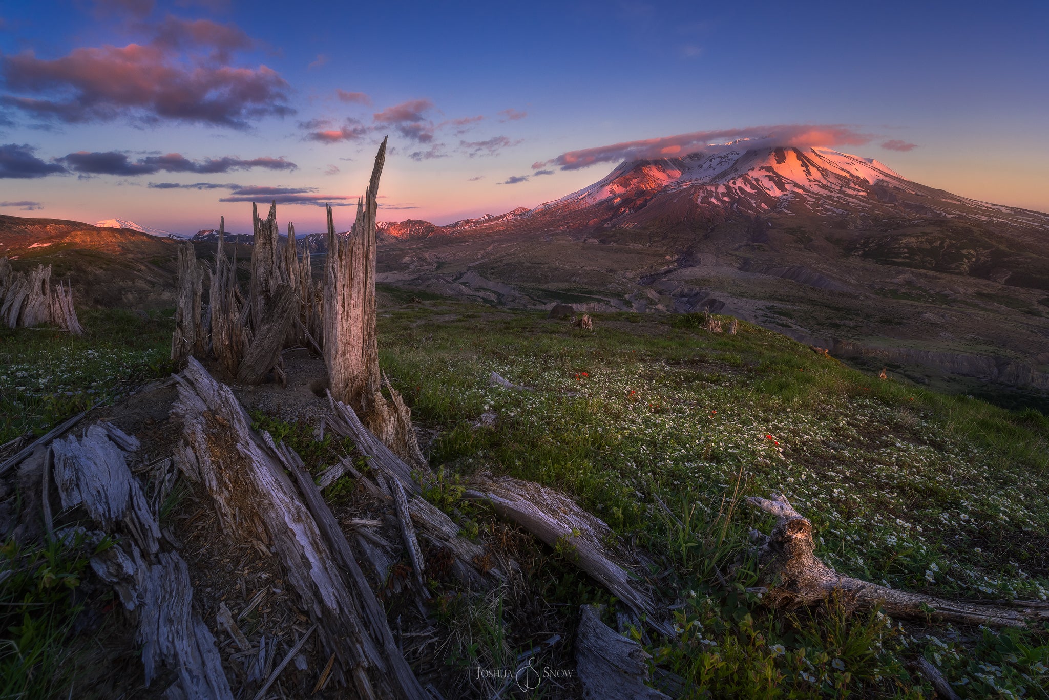 Capturing All The Things