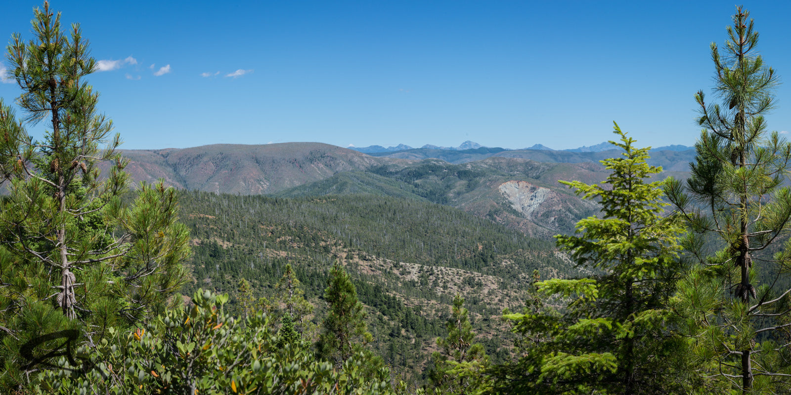Lemmingsworth Gulch