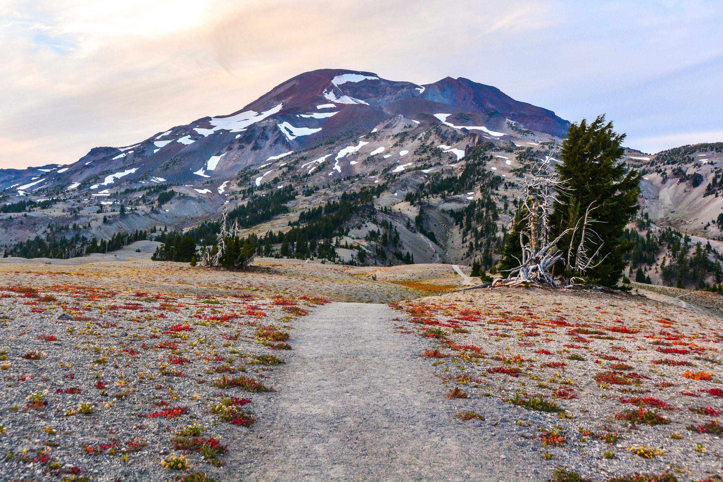 O, Oregon