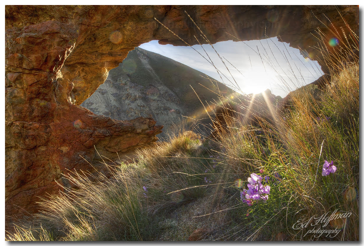 Wonders Of The Owyhee