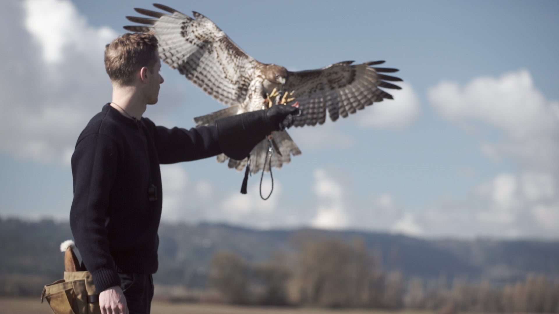 Falconry In The Modern World
